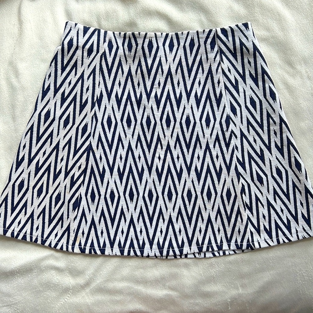 Zara A-Line Skirt